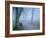 Seashoal-Craig Roberts-Framed Photographic Print