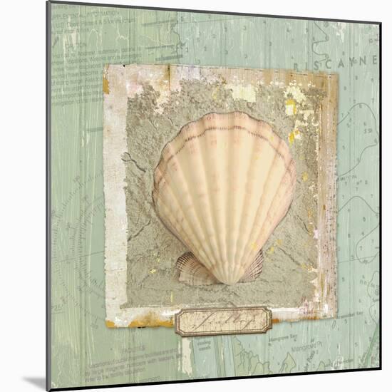 Seashore Collection II-Elizabeth Medley-Mounted Art Print