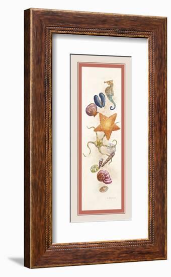 Seashore Discovery-Lisa Danielle-Framed Art Print