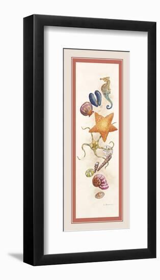 Seashore Discovery-Lisa Danielle-Framed Art Print