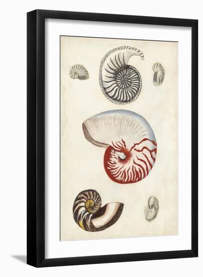 Seashore Field Notes I-Naomi McCavitt-Framed Art Print