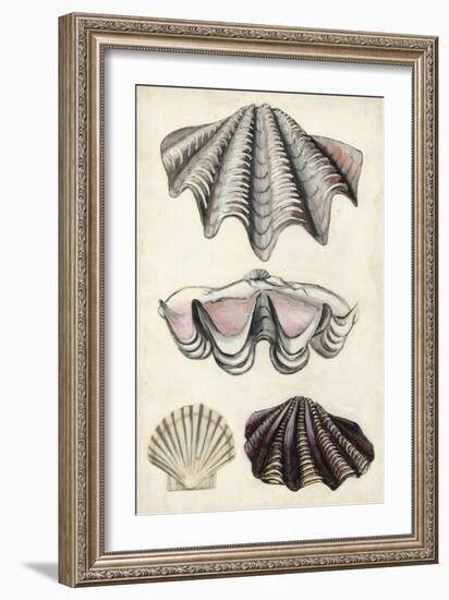 Seashore Field Notes IV-Naomi McCavitt-Framed Art Print