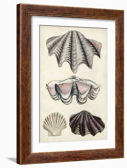 Seashore Field Notes IV-Naomi McCavitt-Framed Art Print