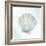 Seashore Shell 2-Kimberly Allen-Framed Art Print