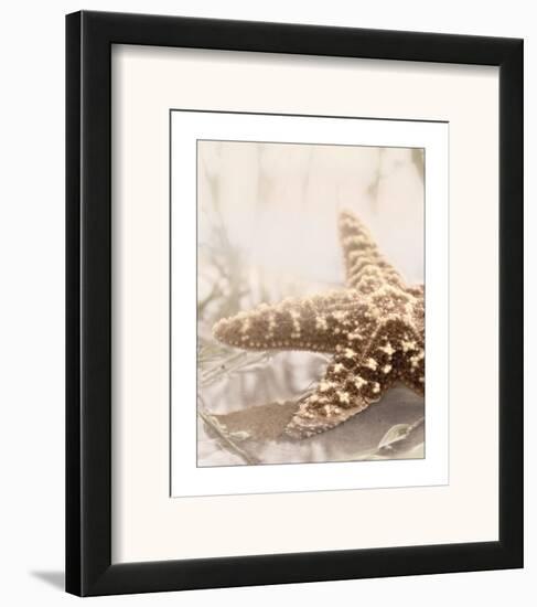 Seashore Starfish-Donna Geissler-Framed Art Print