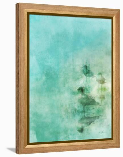 Seashore Stroll 2-Ken Roko-Framed Stretched Canvas