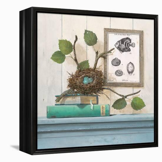 Seaside Branch-Arnie Fisk-Framed Stretched Canvas