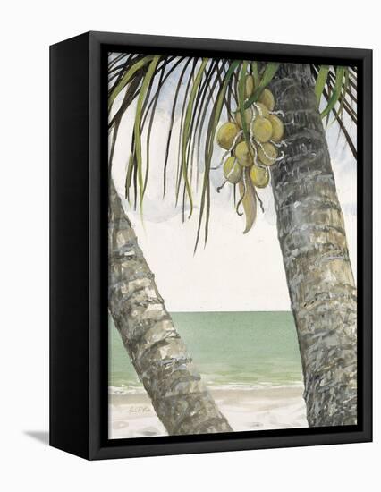 Seaside Coconuts-Arnie Fisk-Framed Stretched Canvas