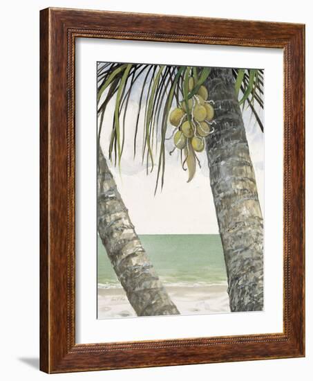 Seaside Coconuts-Arnie Fisk-Framed Art Print