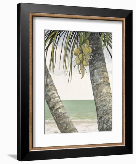 Seaside Coconuts-Arnie Fisk-Framed Premium Giclee Print