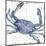 Seaside Crab-Sparx Studio-Mounted Art Print