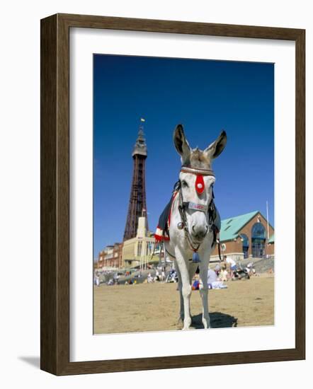 Seaside Donkey on Beach with Blackpool Tower Behind, Blackpool, Lancashire, England-Steve & Ann Toon-Framed Photographic Print