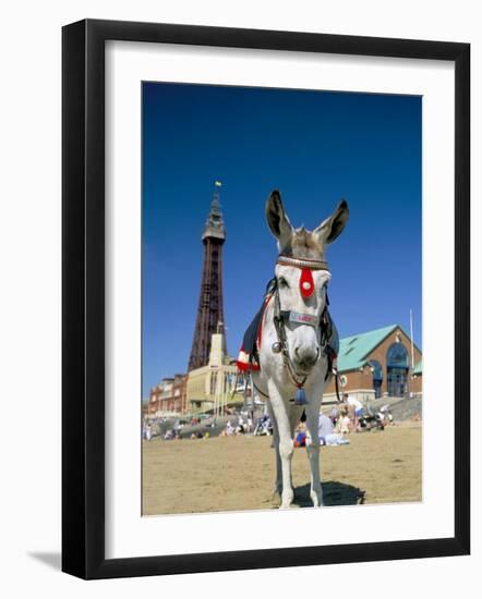 Seaside Donkey on Beach with Blackpool Tower Behind, Blackpool, Lancashire, England-Steve & Ann Toon-Framed Photographic Print