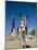 Seaside Donkey on Beach with Blackpool Tower Behind, Blackpool, Lancashire, England-Steve & Ann Toon-Mounted Photographic Print