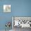 Seaside Dot - Shell-Robbin Rawlings-Premium Giclee Print displayed on a wall