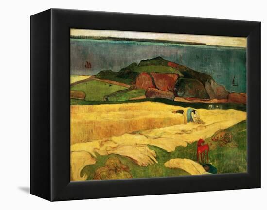 Seaside Harvest, 1890-Paul Gauguin-Framed Premier Image Canvas