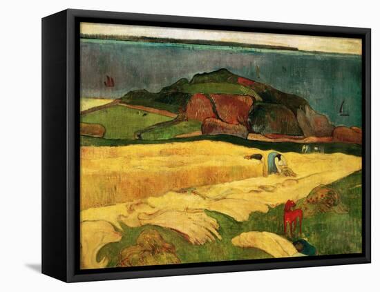 Seaside Harvest, 1890-Paul Gauguin-Framed Premier Image Canvas