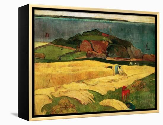 Seaside Harvest, 1890-Paul Gauguin-Framed Premier Image Canvas