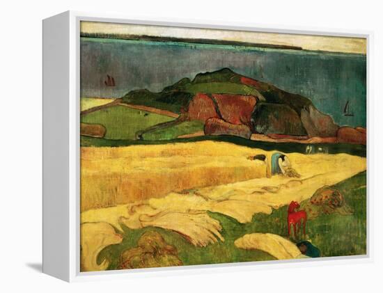 Seaside Harvest, 1890-Paul Gauguin-Framed Premier Image Canvas