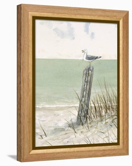 Seaside Perch-Arnie Fisk-Framed Stretched Canvas