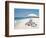 Seaside Picnic-Zhen-Huan Lu-Framed Art Print