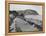 Seaside Resort of Minehead, Somerset, Early 1930s-null-Framed Premier Image Canvas