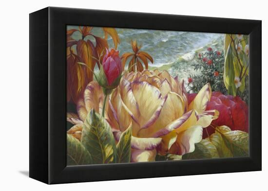 Seaside Roses-Elizabeth Horning-Framed Premier Image Canvas