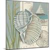 Seaside Shell I-Chariklia Zarris-Mounted Art Print