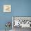 Seaside Shells in Group-Robbin Rawlings-Mounted Art Print displayed on a wall