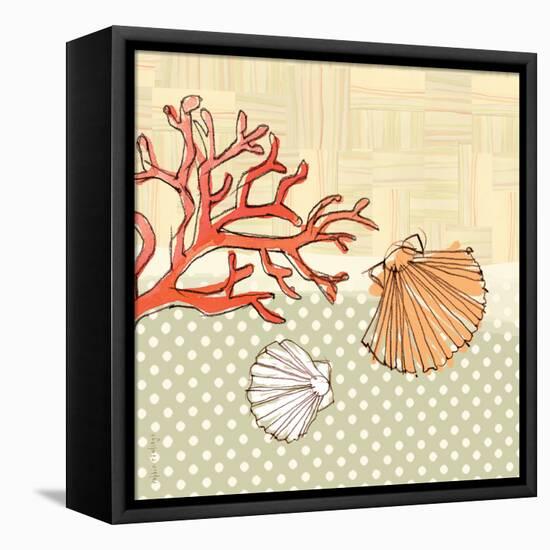 Seaside Shells-Robbin Rawlings-Framed Stretched Canvas