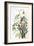 Seaside Sparrow, 1858-John James Audubon-Framed Giclee Print