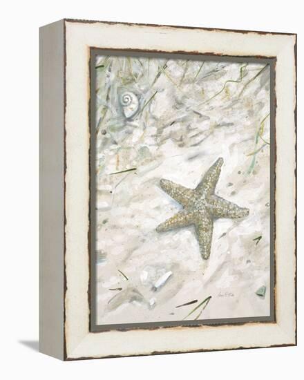 Seaside Starfish-Arnie Fisk-Framed Stretched Canvas