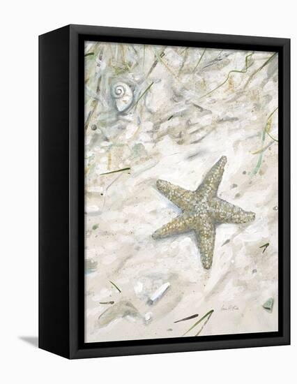 Seaside Starfish-Arnie Fisk-Framed Stretched Canvas