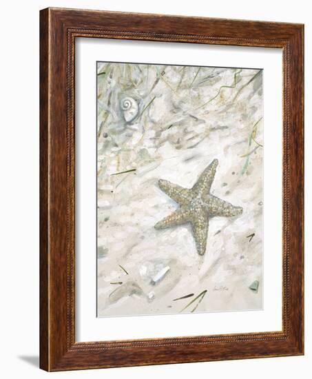 Seaside Starfish-Arnie Fisk-Framed Art Print