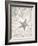 Seaside Starfish-Arnie Fisk-Framed Art Print