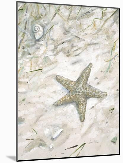Seaside Starfish-Arnie Fisk-Mounted Art Print
