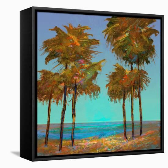 Seaside Sunset-Michael Tienhaara-Framed Stretched Canvas