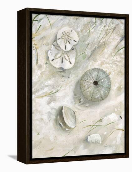 Seaside Urchin-Arnie Fisk-Framed Stretched Canvas