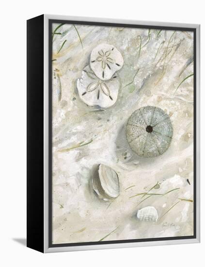 Seaside Urchin-Arnie Fisk-Framed Stretched Canvas