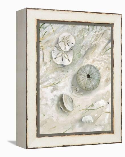 Seaside Urchin-Arnie Fisk-Framed Stretched Canvas