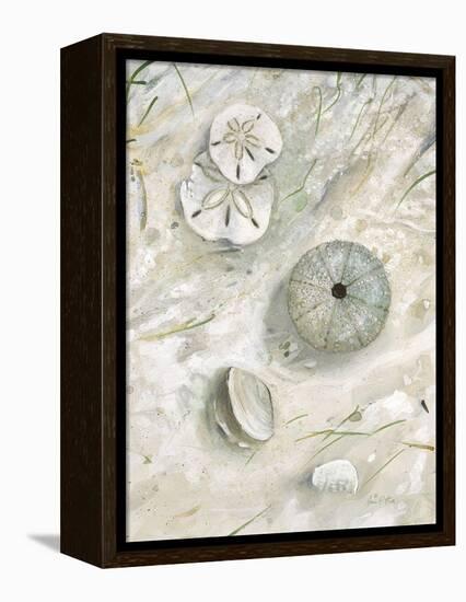 Seaside Urchin-Arnie Fisk-Framed Stretched Canvas