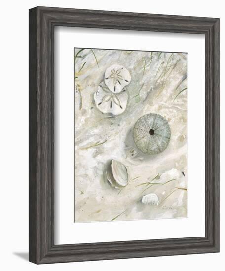 Seaside Urchin-Arnie Fisk-Framed Art Print