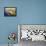 Seaside Village IV-Max Hayslette-Framed Premier Image Canvas displayed on a wall