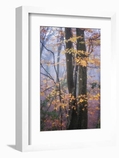 Season Details-Philippe Manguin-Framed Photographic Print