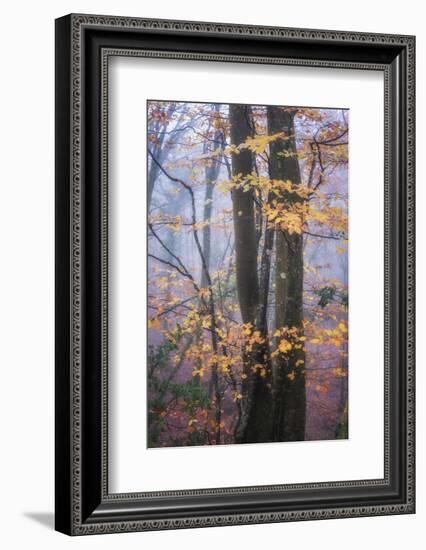 Season Details-Philippe Manguin-Framed Photographic Print