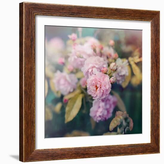 Season of Blossoms-Sarah Gardner-Framed Photographic Print