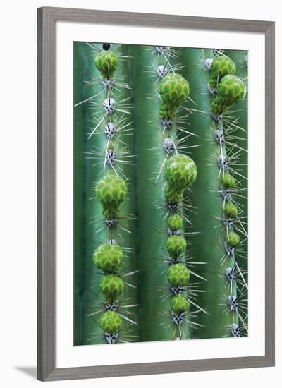 Season of Growth-Michael Greene-Framed Giclee Print