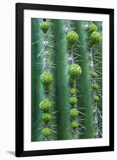 Season of Growth-Michael Greene-Framed Giclee Print