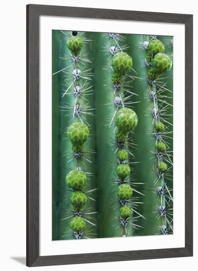 Season of Growth-Michael Greene-Framed Giclee Print