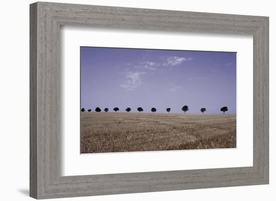 Season's Yield-Gill Copeland-Framed Art Print